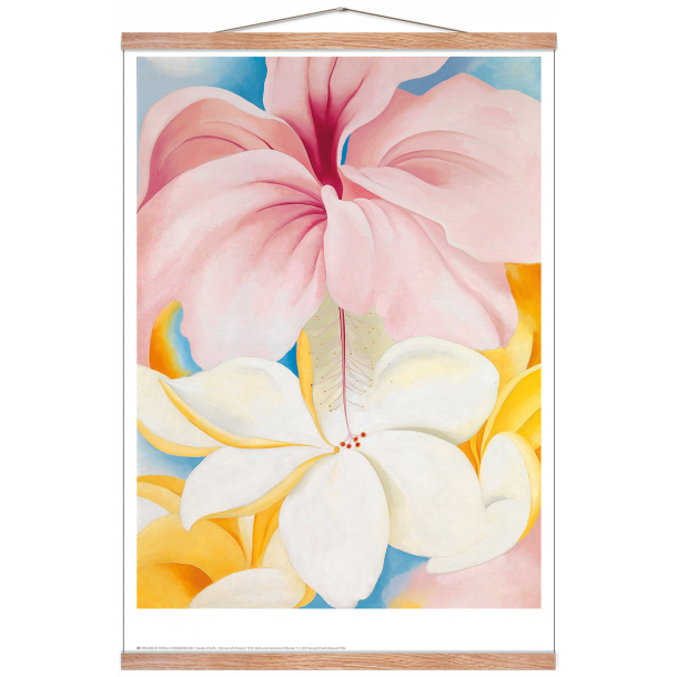 Georgia O Keeffe Poster Hibiscus With Plumeria 42 X 59 4 Cm