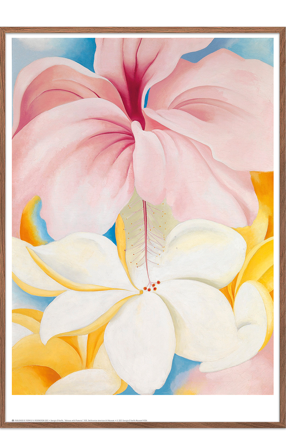 georgia o keeffe hibiscus