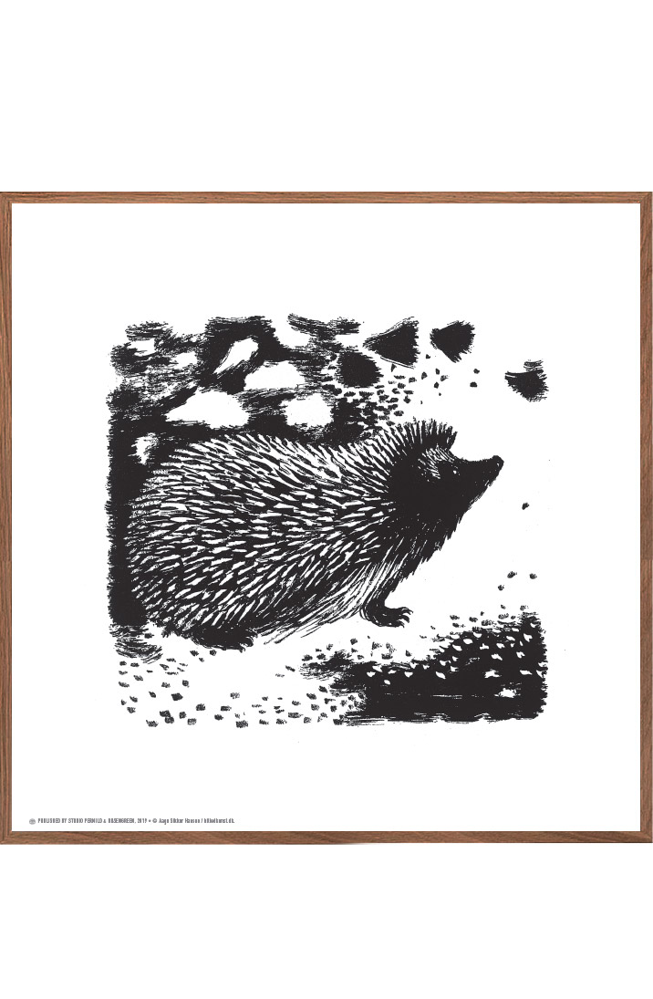 Rund ned Køb Nøjagtighed Hedgehog on the forest floor, Aage Sikker Hansen - Posters - Permild &  Rosengreen