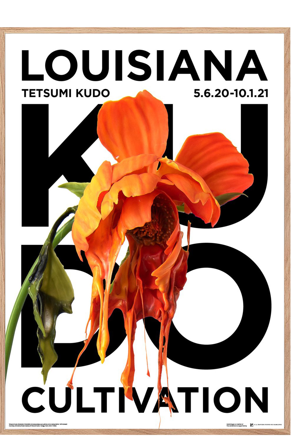 Tetsumi Kudo, Cultivation, Louisiana - Plakater - & Rosengreen