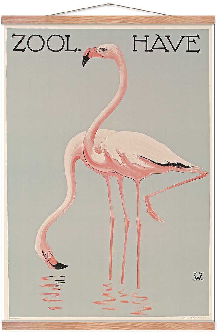 Z 2. - Zoo - A Flamingos - Posters - Permild & Rosengreen