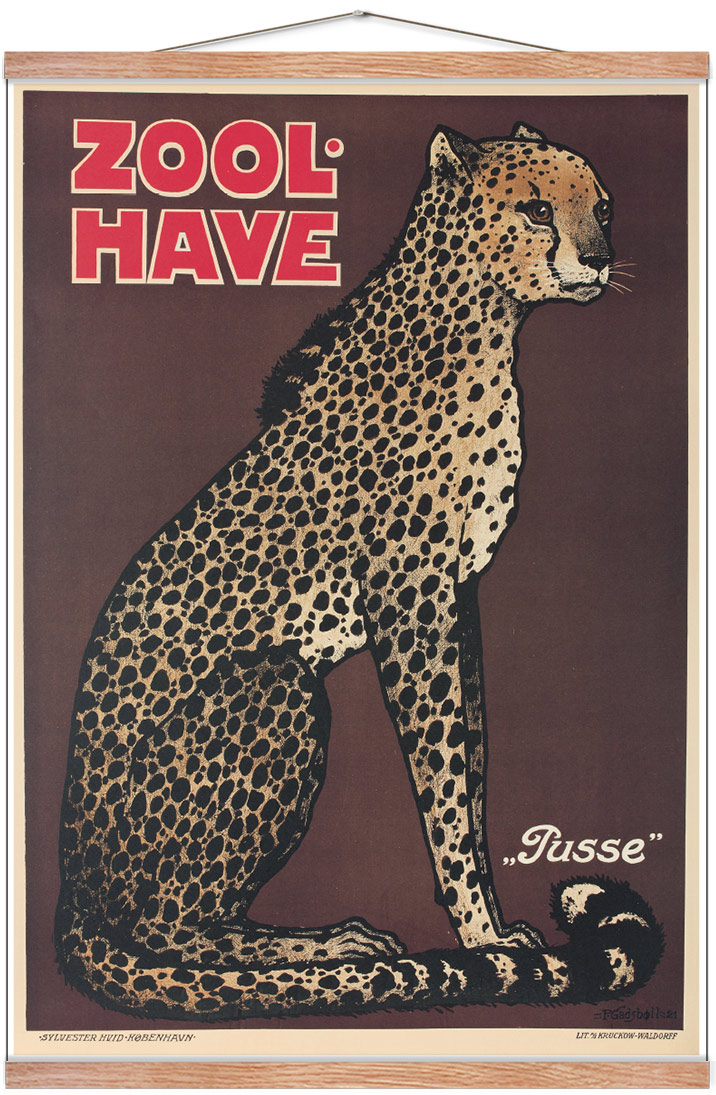 Zoo plakat med gepard Zoologiskhave plakat