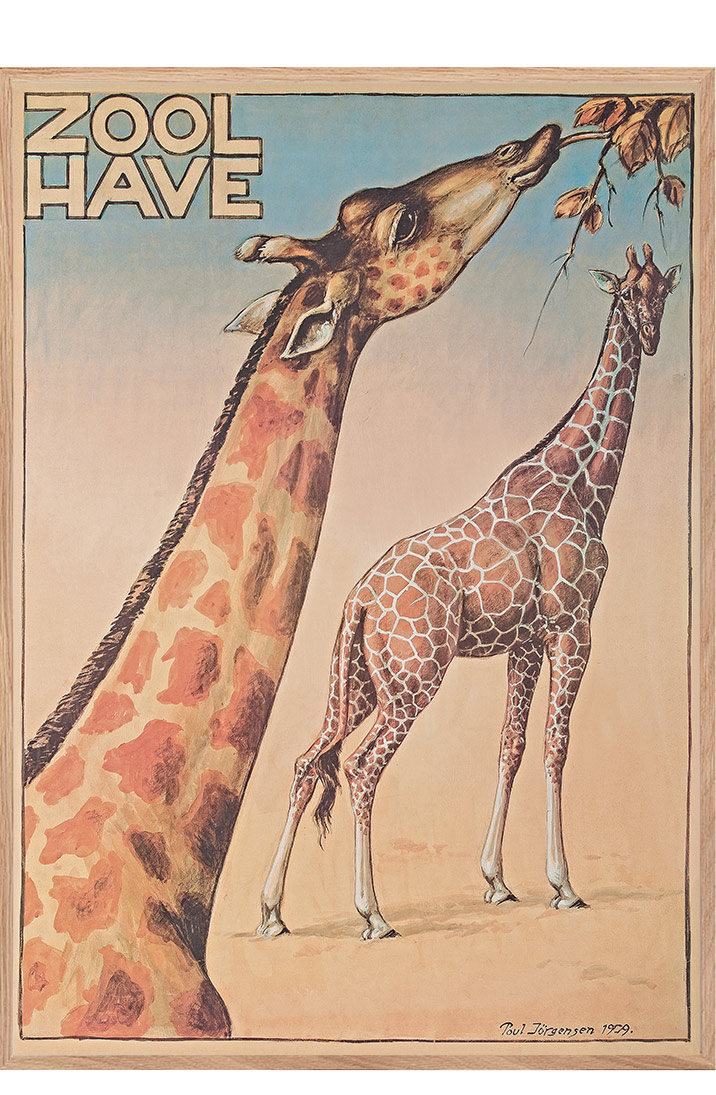 Zoo plakat med giraffer | Zoologiskhave Køb her