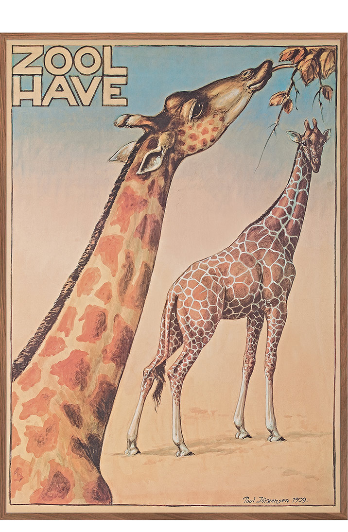 Z - Zoo - Jørgensen, Giraffe -1 - Posters - Permild &