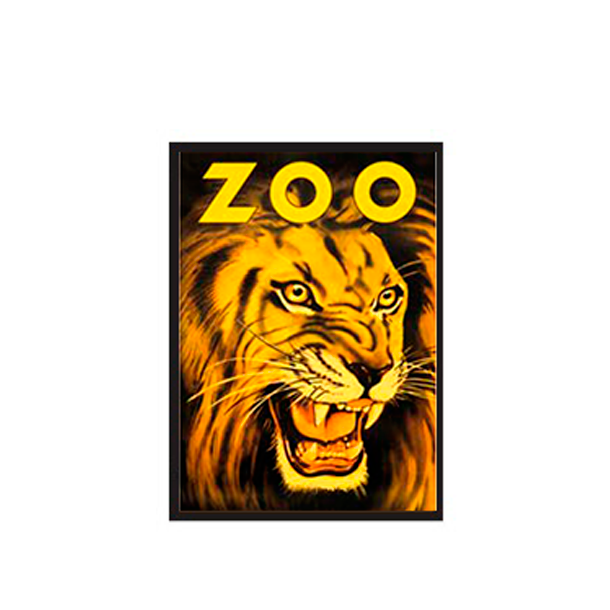 Z 23. - Zoo, Lion / Zoo 19