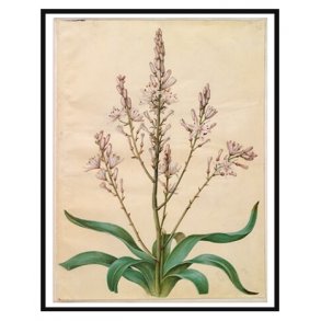 Holtzbecker, Blomstermotiv 4