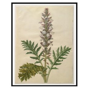 Holtzbecker, Blomstermotiv 11