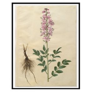 Holtzbecker, Blomstermotiv 14