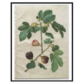 Holtzbecker, Blomstermotiv 18