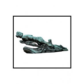 Jacobsen, Der Schatten