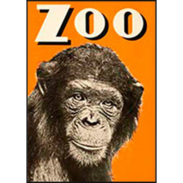 Z 24. - Zoo, Abe 