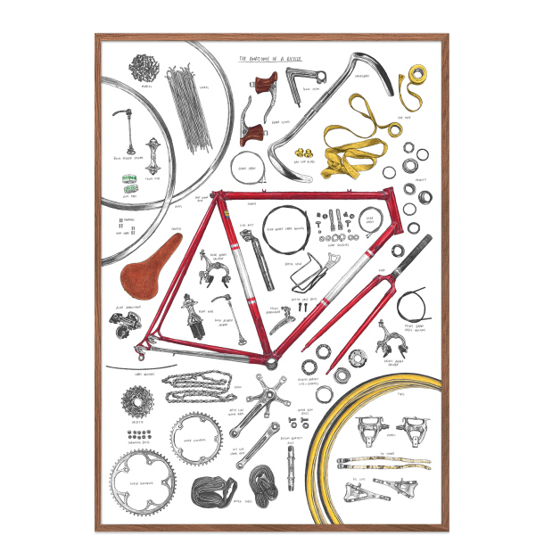 Anatomy of a bicycle