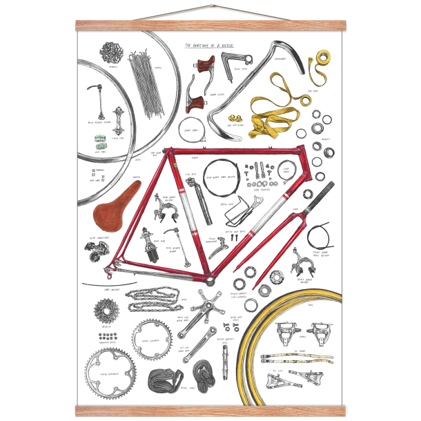 Anatomy of a bicycle