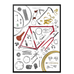 Anatomy of a bicycle