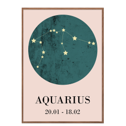Zodiac sign - Aquarius