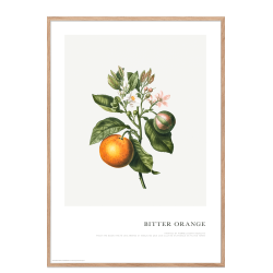 Plakat. Orangefarbener Zweig