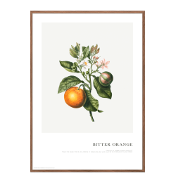 Plakat. Orangefarbener Zweig