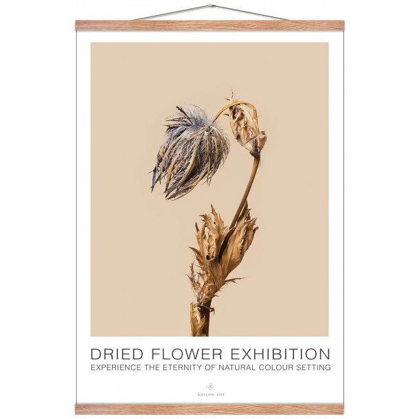 Bl blomst. Dried Flower exhibition