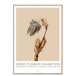 Bl blomst. Dried Flower exhibition