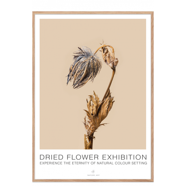Bl blomst. Dried Flower exhibition