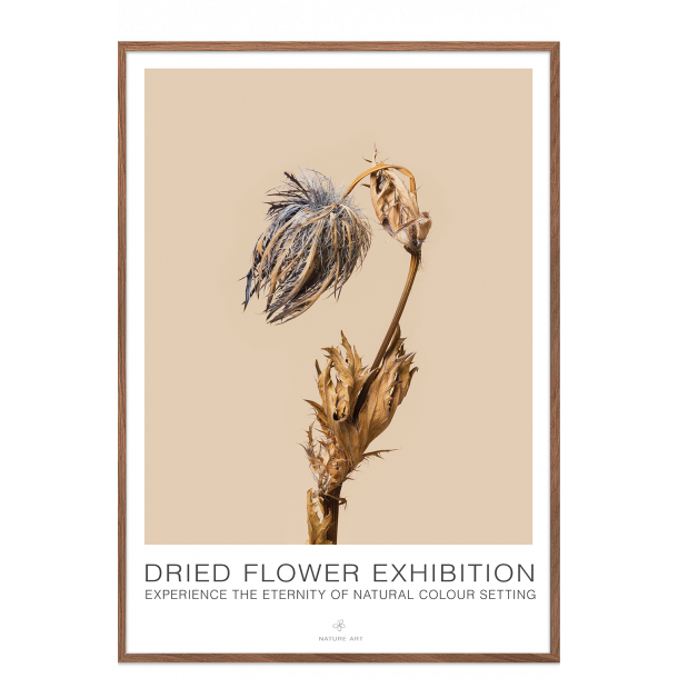 Bl blomst. Dried Flower exhibition