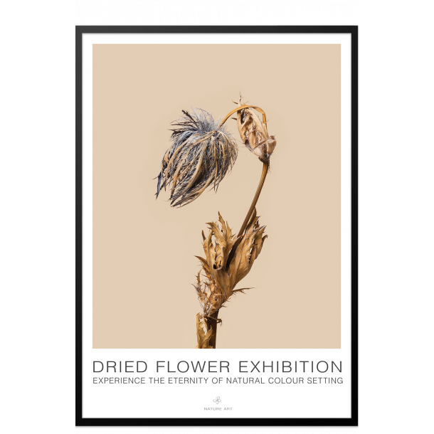 Bl blomst. Dried Flower exhibition