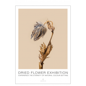 Blaue Blume. Ausstellung getrockneter Blumen