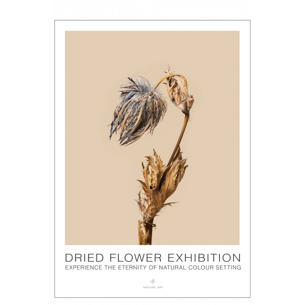 Blue flower. Dried Flower exhibition