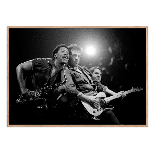 Rasmussen, Bruce Springsteen