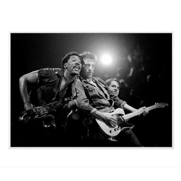 Rasmussen, Bruce Springsteen