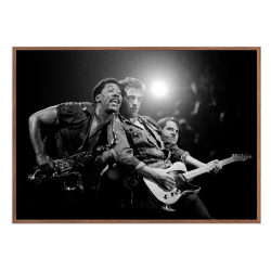 Rasmussen, Bruce Springsteen