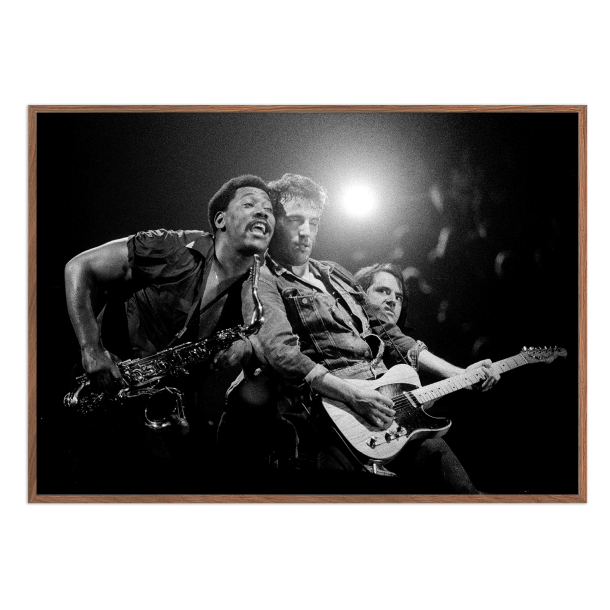 Rasmussen, Bruce Springsteen