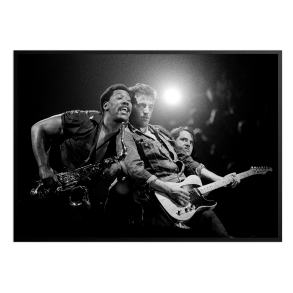 Rasmussen, Bruce Springsteen