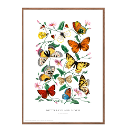 Butterfly and moth. Vintage plakat