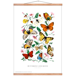 Butterfly and moth. Vintage plakat