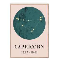 Zodiac sign - Capricorn