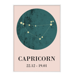 Zodiac sign - Capricorn