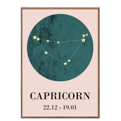 Zodiac sign - Capricorn