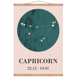 Zodiac sign - Capricorn