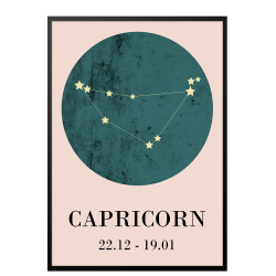 Zodiac sign - Capricorn