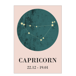 Zodiac sign - Capricorn