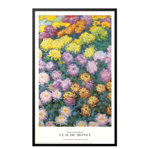 Claude Monet. Massif de Chrysanthemes
