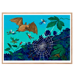 Mller, AC. Die Fahrradmcke &amp; die tanzende Mcke #14