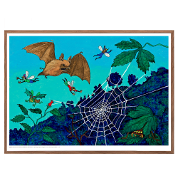 Mller, AC. Die Fahrradmcke &amp; die tanzende Mcke #14