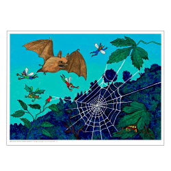 Mller, AC. Die Fahrradmcke &amp; die tanzende Mcke #14