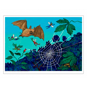 Mller, AC. Cykelmyggen & Dansemyggen #14