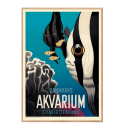 Ungermann, National Aquarium Denmark