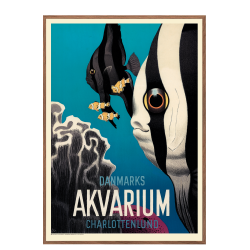 Ungermann, National Aquarium Denmark