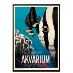 Ungermann, National Aquarium Denmark