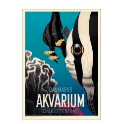 Ungermann, National Aquarium Denmark